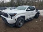 TOYOTA TACOMA 2025