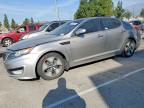 KIA OPTIMA HYBRID 2013