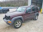 JEEP LIBERTY 2004
