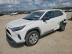 TOYOTA RAV4 2024