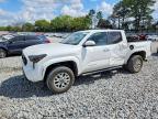TOYOTA TACOMA 2024