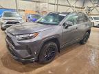 TOYOTA RAV4 2023