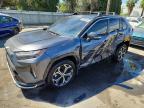 TOYOTA RAV4 PRIME 2024