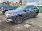 TOYOTA RAV4 2023