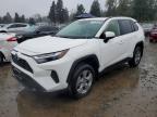 TOYOTA RAV4 HYBRID 2025