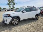 TOYOTA RAV4 HYBRID 2025