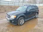 FORD ESCAPE 2010