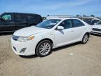 TOYOTA CAMRY HYBRID 2013