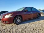 NISSAN MAXIMA 2010