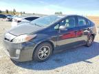 TOYOTA PRIUS 2010