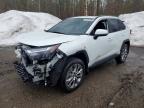 TOYOTA RAV4 2025