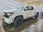 TOYOTA TACOMA 2024