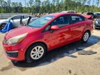 KIA RIO 2017