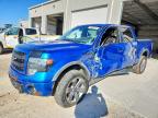 FORD F-150 2013