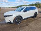 HONDA CR-V 2025