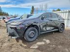 LEXUS NX 2022
