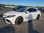 TOYOTA CAMRY 2023