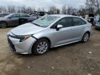 TOYOTA COROLLA HYBRID 2025