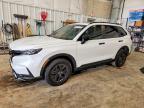 HONDA CR-V 2026