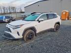 TOYOTA RAV4 2025