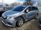 HONDA ODYSSEY 2019