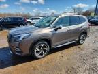 SUBARU FORESTER 2023
