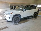 TOYOTA RAV4 HYBRID 2019