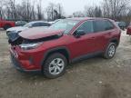 TOYOTA RAV4 2024