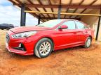 HYUNDAI SONATA 2019