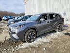 TOYOTA HIGHLANDER 2023