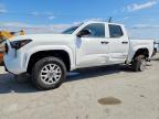 TOYOTA TACOMA 2026