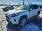 TOYOTA RAV4 2023
