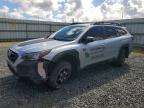 SUBARU OUTBACK 2025