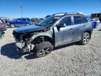 TOYOTA RAV4 PRIME 2023