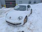 VOLKSWAGEN BEETLE 2016