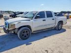 DODGE DAKOTA 2005