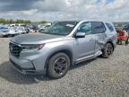 HONDA PILOT 2025