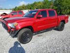 TOYOTA TACOMA 2023