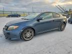 SCION TC 2005