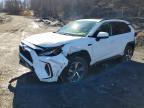 TOYOTA RAV4 PRIME 2023