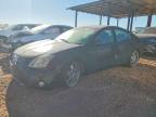 NISSAN MAXIMA 2005