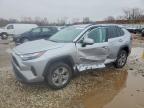 TOYOTA RAV4 HYBRID 2024