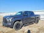TOYOTA TUNDRA 2024