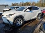LEXUS NX 2018