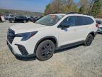 SUBARU ASCENT 2024