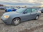 CHEVROLET MALIBU 2005