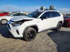 TOYOTA RAV4 HYBRID 2021
