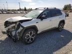 TOYOTA RAV4 PRIME 2021