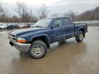 DODGE DAKOTA 2001