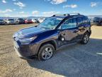 TOYOTA RAV4 HYBRID 2024